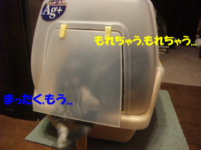 2009年10月トイレ３.JPG