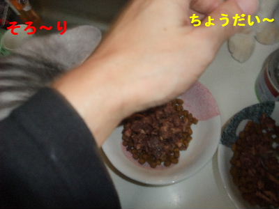 2009年1月食事８.JPG