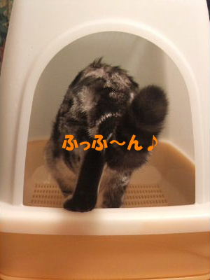 2010年1月トイレ４.JPG