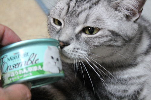 2010年8月猫缶２.JPG
