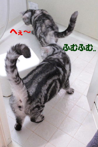 2011年12月お風呂３－２.JPG