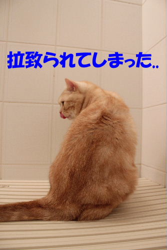 2011年8月お風呂５.JPG